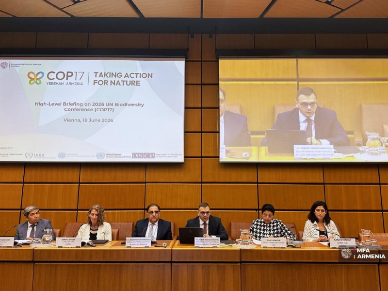 Брифинг высокого уровня в Вене, посвященный COP17 по биоразнообразию в Ереване