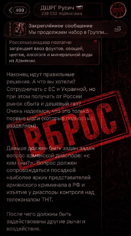 Группировка ДШРГ Русич призвала к давлению на армянскую диаспору в России.